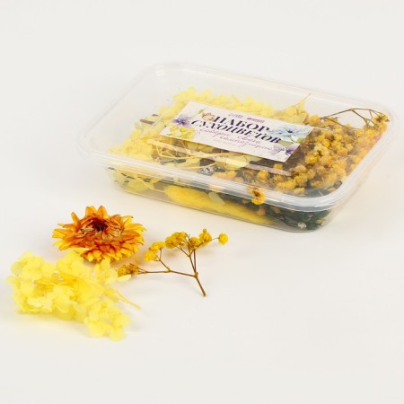 Set of dried flowers "Summer Field"