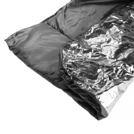 Authorized for the Cartage engine, 140 x 90 cm, foil, black