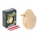 Set of archaeologist "Stegosavr", series "Peter's egg of the dinosaurus"
