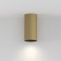 Technical C080CL-01-GU10-Mg, 1xGU10, 10W, 5.4x5.4x10.8 cm, color gold gold