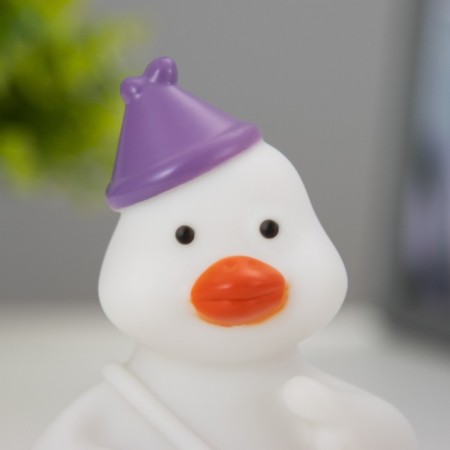 Nightlight "Duck" LED 2W from battery 3xlr44 white 6x7x11 cm Risalux-4