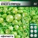 Sprinking confectionery figure "Stars": Green, 25 g.