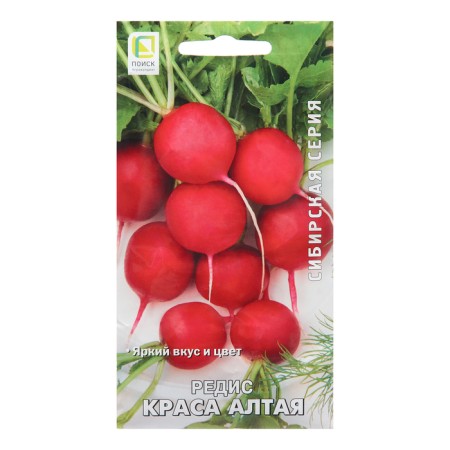 Seeds Radis "Beauty Altai", 3 g