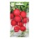 Seeds Radis "Beauty Altai", 3 g