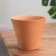 Flower pot "Nolina" 1.2 l