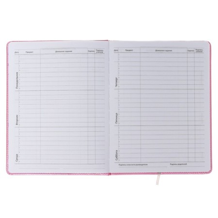 Universal diary for grade 1-11 LOVEBIRDS, hard cover, artificial leather, foam rubber, lies, 80 g/m2-6