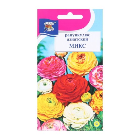 Flowers Ranunkulus Tensor "Asian" Mix ", 3 pcs-2