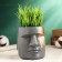 Kashpo - organizer "Higherulus Moai" 10 cm, gray, bronze