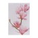 Scheme for embroidery with a cross "Magnolia"