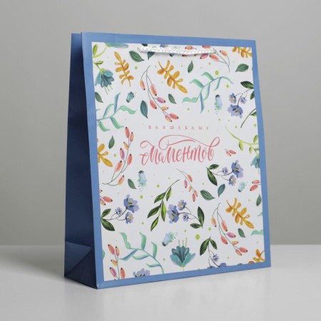 Gift laminated package, packaging, Best Wishes, Ml 21 x 25 x 8 cm-2