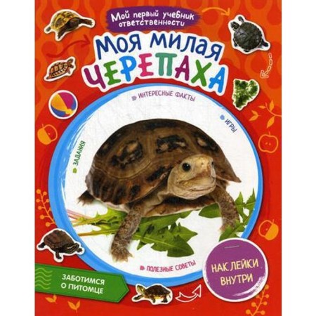 My cute turtle + stickers inside. Comp. Moiseeva N.