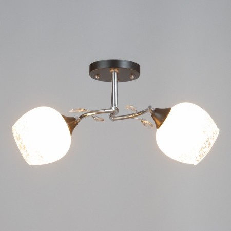 Ceiling Ceiling Zoe 2HE27 40W chrome, black-1
