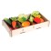 Set "Vegetables on Magnets" in a box, 16 parts