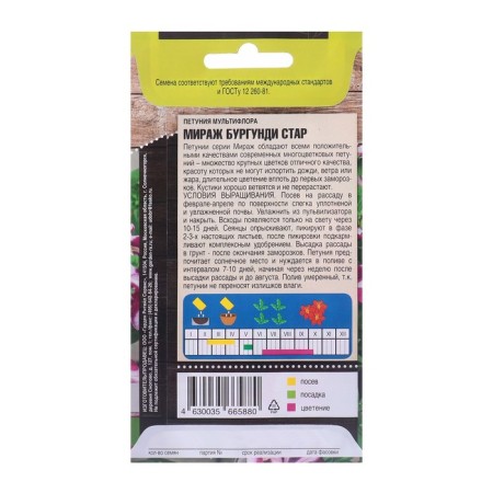 Flower seeds Petunia Multiflore "Mirage Burgundy Star", 10 pcs-1