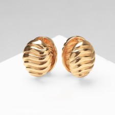 Earrings Metal 