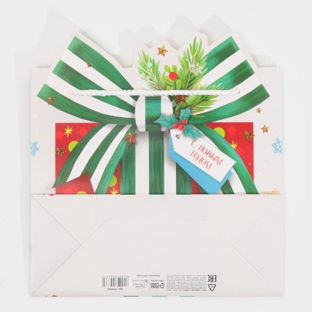 Package Gift "Gift", 25 x 26 x 10 cm, New Year-7
