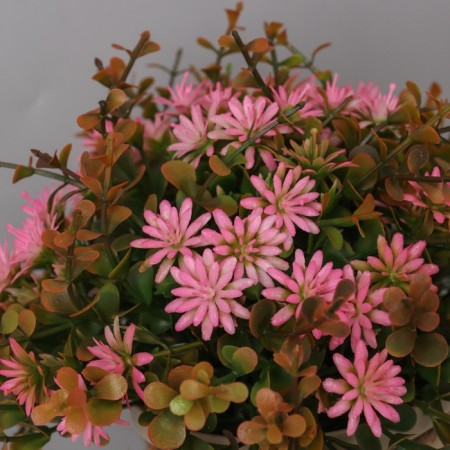 Bonsai in the pot "Indoor cleaner" 17x10 cm, mix-1