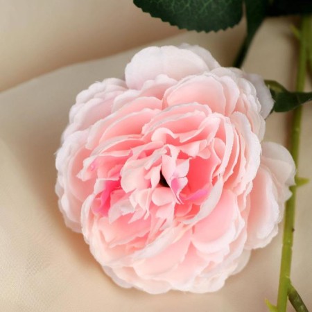 Artificial flowers "Rosa Terition" 8x60 cm, pink-1