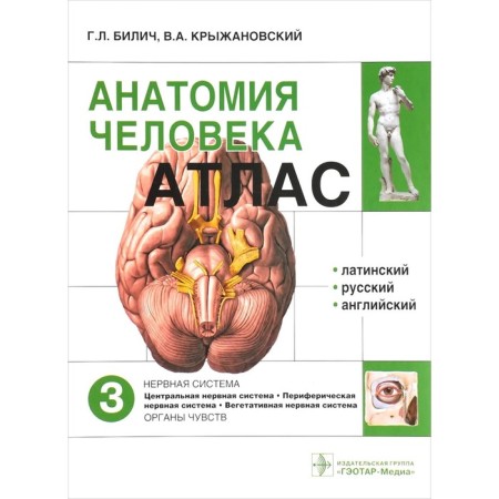 Human anatomy. Atlas. Volume 3. In 3 volumes. Bilich G., Kryzhanovsky V.