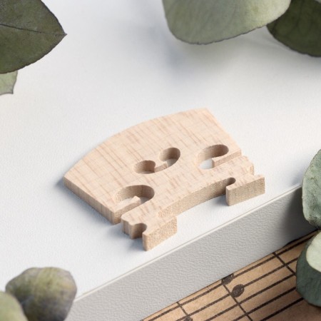 Strong standing violin Music Life 1/4-1