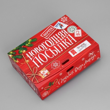Gift Box "New Year's Parcel", 16.5 x 12.5 x 5 cm, without tape, New Year-1