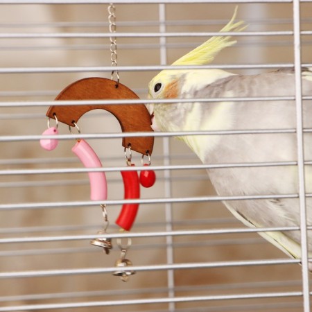 Bird Toy "Snow", mix-2