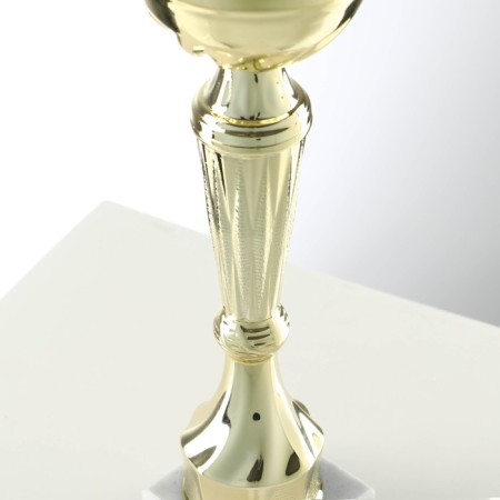 Cup 151C, award figure, gold, stand stone, 22 x 7 x 5 cm.-4