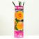 Gloria denser seedling, spring 2024, 1 pc.
