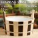 Gang of linden, 15 l, round, plastic insert, "day night"