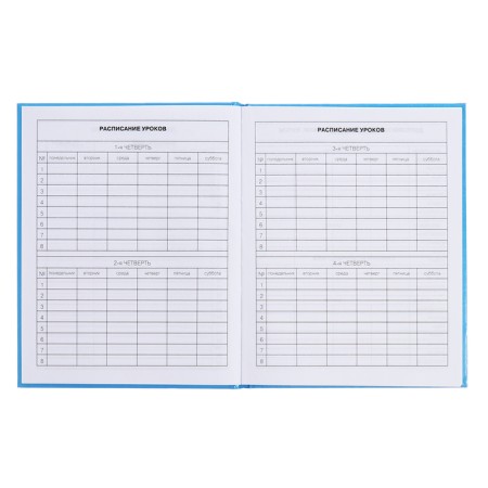 Diary for grades 5-11, 48 sheets of Kapibar Kapibarov, hard cover, glossy lamination, block 60 g/m2-6