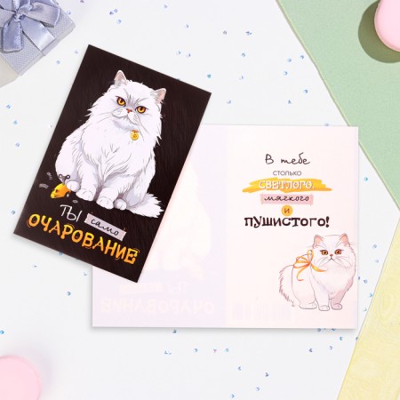 Postcard "You are the charm itself!" White Cat, A5