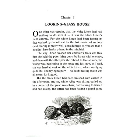 Alice in the Zadaker: a fairy tale in Russian and English. Carroll L.-3