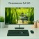 Монитор Digma 31.5" Progress 32P501F черный IPS LED 4ms 16:9 HDMI матовая 300cd 178гр/178гр 106855