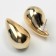 Earrings plastic "drop" curved van, color gold