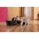 Mechanical team model, wooden designer "Cat (cat)"
