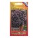Basil seeds "purple ball", c/p, 5 pcs.