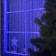 Garland "Curtain" 2 × 3 m, IP44, UMS, dark thread, 760 LED, glow blue, 220 V