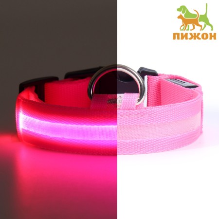 Collar with backlight size S, Osh 35-43 x 2.5 cm, 3 glow modes Pink