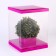 Box for flowers with a vase and PVC windows are folding, 23 x 30 x 23 cm, plain, lavender