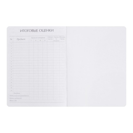 Universal diary for grades 1-11, 48 Velvet sheets, hard cover, artificial leather, thermoting, lies, block 70 g/m2, pink-6