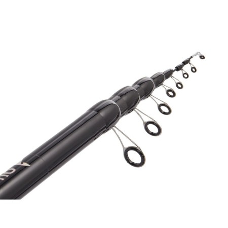 Salmo Diamond Bolognes Medium MF, test 5-20 g, length 6 m.-3
