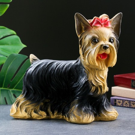 Piggy bank "Yorkshire Terrier" Standing, 16x32x28cm