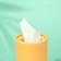 Napkins in a tube 50 pcs, 2 layers of craft