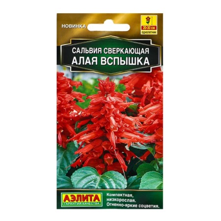 Salvia flowers sparkling "scarlet flash", c/p, 15 pcs