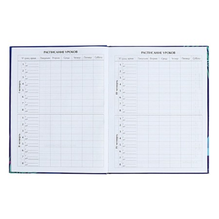 Diary for grades 5-11 "Modern wyb. Be cooler!", Firm cover, glossy lamination, 48 sheets-5
