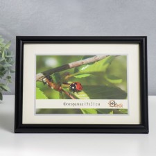 Photo frame plastic 15x21 cm 385-Blak (plastic screen)