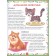 Animals and birds: Encyclopedia for kids. Kulakova. E.S.