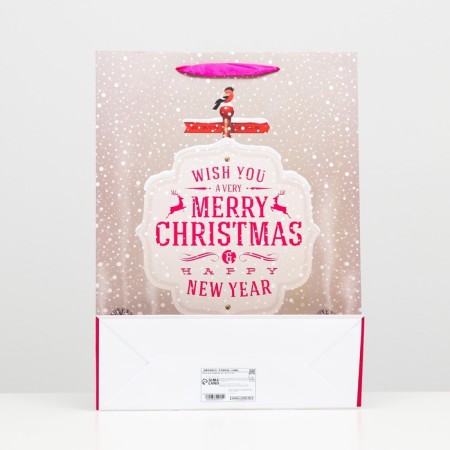 Laminated package "New Year" 32 x 42 x 12-1