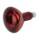The lamp is infrared, for heating animals, 250 watts, E27, red sausage, era
