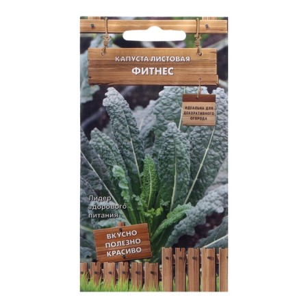 Cabbage seeds leaf "Fitness", 0.1 g